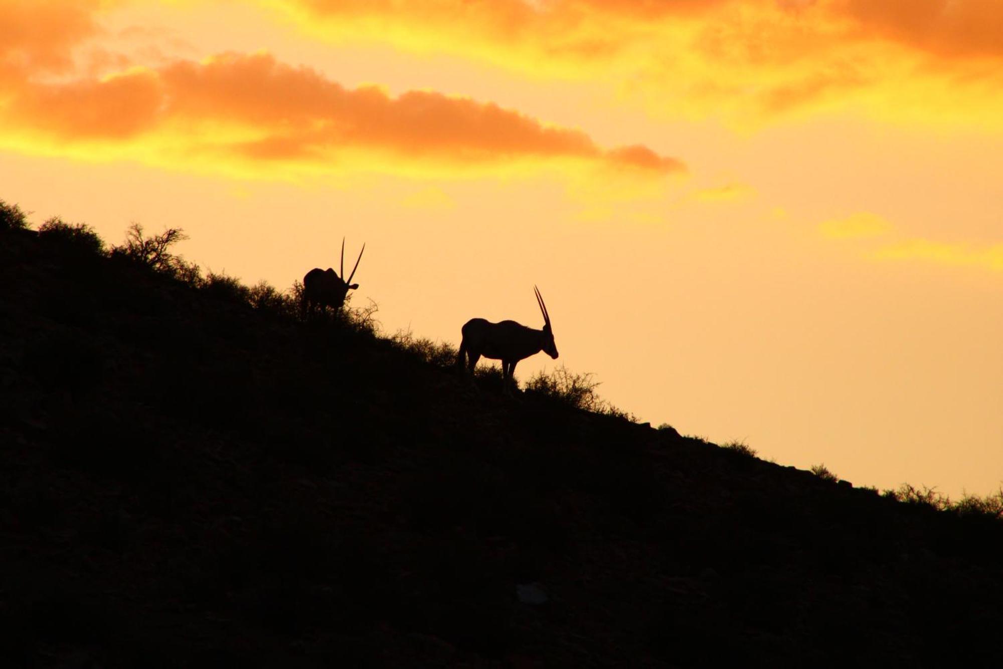 Bosch Luys Kloof Nature Reserve Ladismith Exterior foto