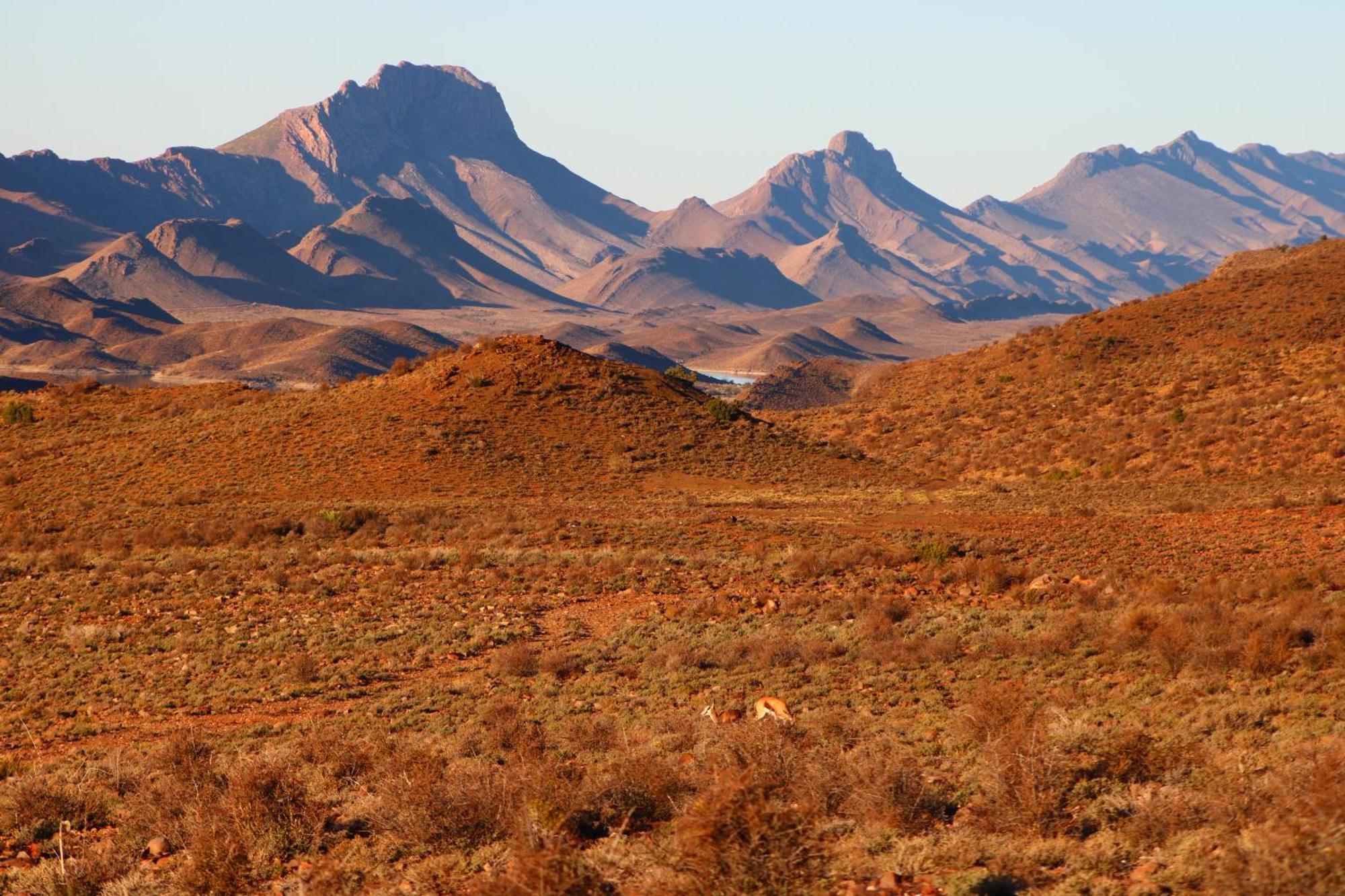 Bosch Luys Kloof Nature Reserve Ladismith Exterior foto